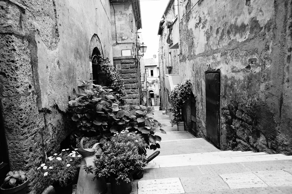 Antigua calle Toscana en BW — Foto de Stock