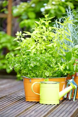 Açık Bahçe aletleri