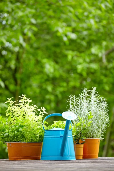 Attrezzi da giardinaggio all'aperto — Foto Stock