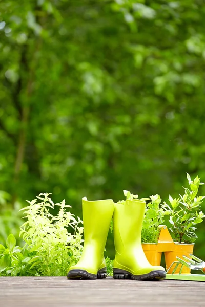 Herramientas de jardinería — Foto de Stock