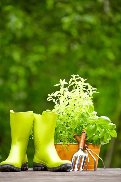 Gardening tools — Stock Photo, Image