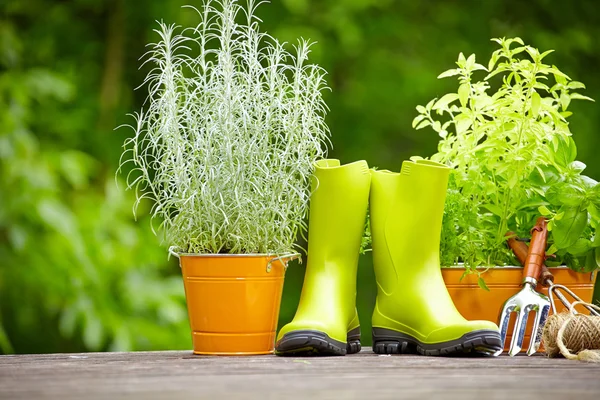 Herramientas de jardinería — Foto de Stock