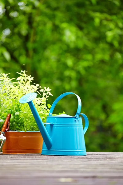 Verse kruiden in houten doos met tuingereedschap op terras — Stockfoto