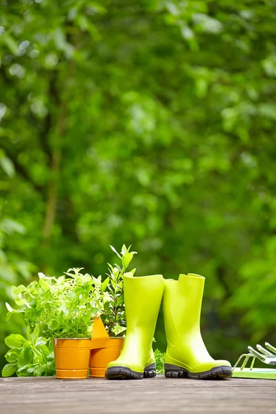 Erbe fresche in scatola di legno con attrezzi da giardino in terrazza — Foto Stock