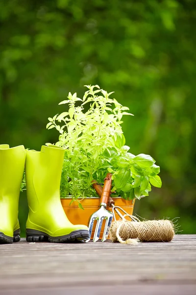 Herbes fraîches dans une boîte en bois avec outils de jardin sur terrasse — Photo