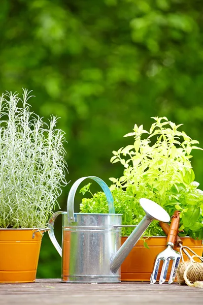 Hierbas frescas en caja de madera con herramientas de jardín en la terraza —  Fotos de Stock