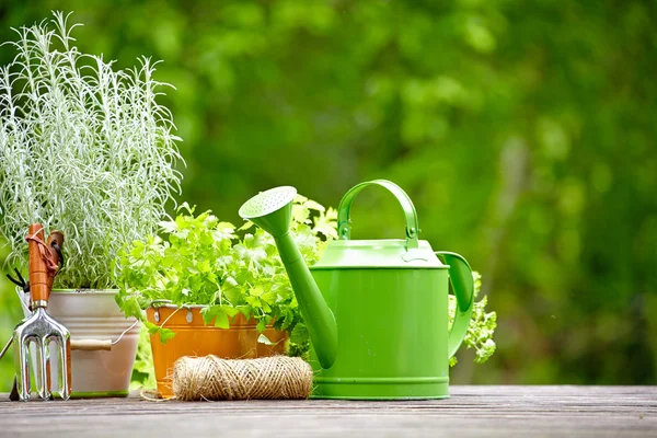 Frische Kräuter in Holzkiste mit Gartengeräten auf der Terrasse — Stockfoto