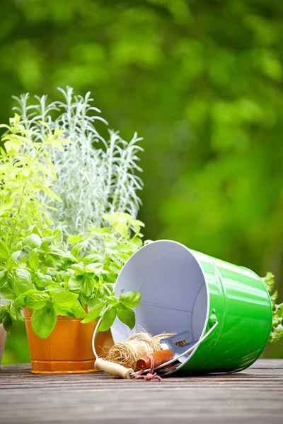 Färska örter i trälåda med trädgårdsredskap på terrassen — Stockfoto