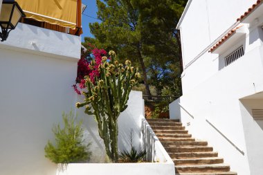 tipik badanalı evler Köyü