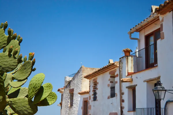 Beautiful cactus near the stone home at the sky. — Stock Photo, Image