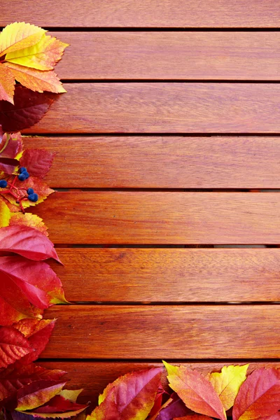 Autumn leaves over wooden background with copy space — Stock Photo, Image