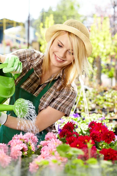 Florists woman working with flowers at a greenhouse. — Stock Photo, Image