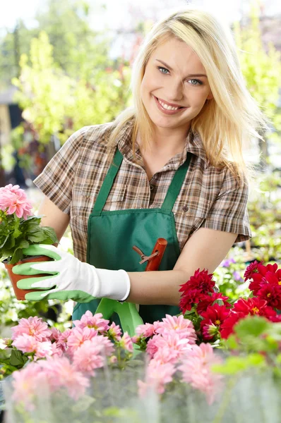 Fioristi donna che lavora con i fiori in una serra. — Foto Stock