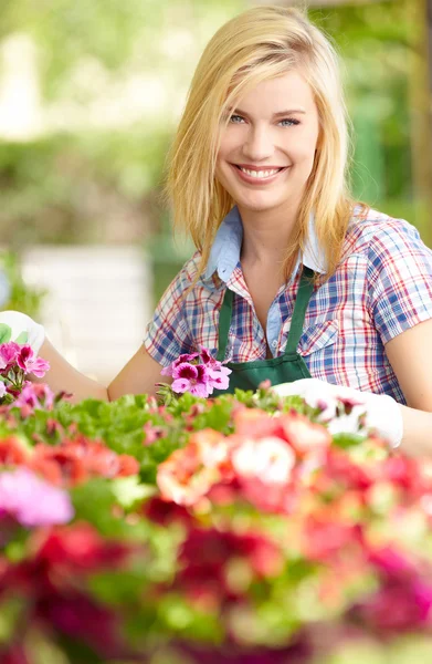 Floristas mujer trabajando con flores en un invernadero. —  Fotos de Stock