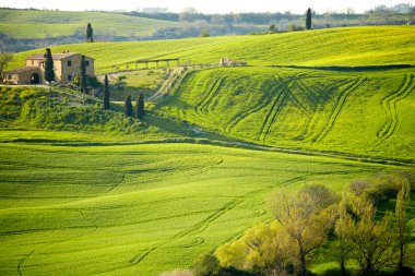 kırsal, san quirico'orcia, Toskana, İtalya