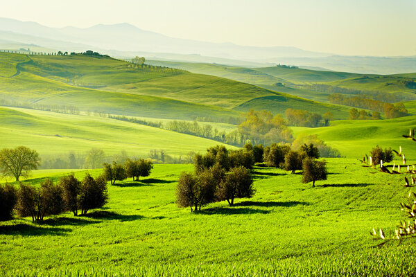 Countryside, San Quirico'Orcia , Tuscany, Italy