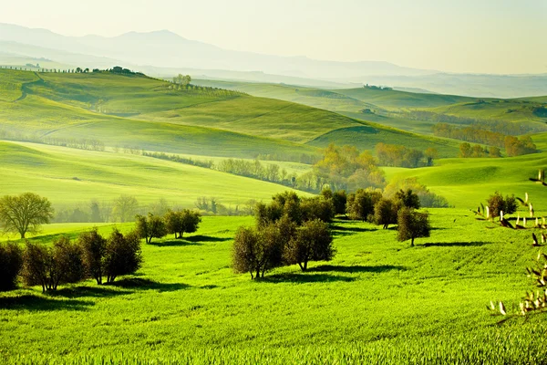 サン quirico'orcia、トスカーナ、イタリアの田舎 ストック写真