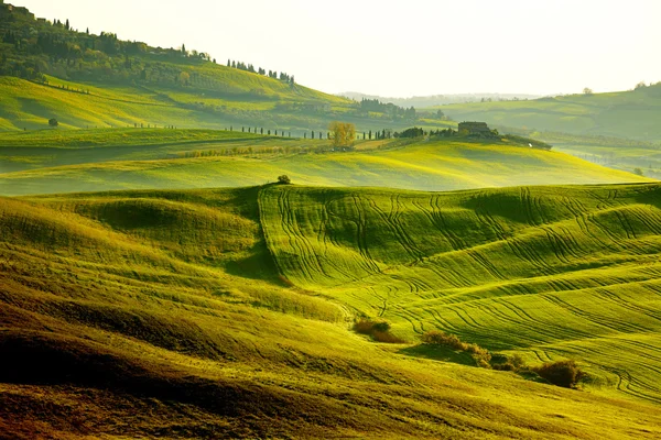 Ύπαιθρο, σαν quirico'orcia, Τοσκάνη, Ιταλία Εικόνα Αρχείου