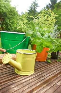 Açık Bahçe aletleri