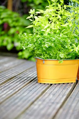 Açık Bahçe aletleri