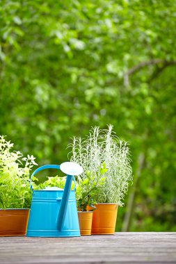 Açık Bahçe aletleri