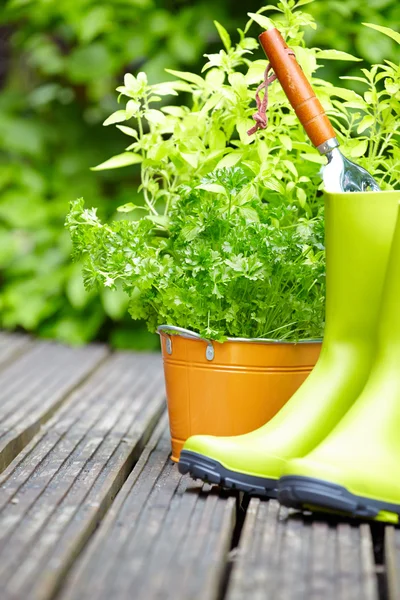 Outdoor gardening tools — Stock Photo, Image