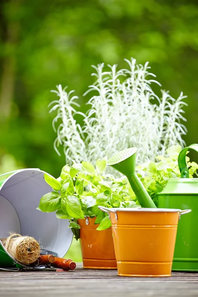 Gartengeräte im Freien — Stockfoto