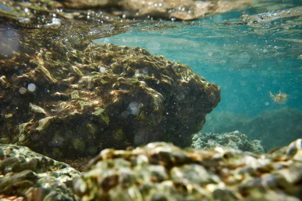 Fondo de roca submarina — Foto de Stock