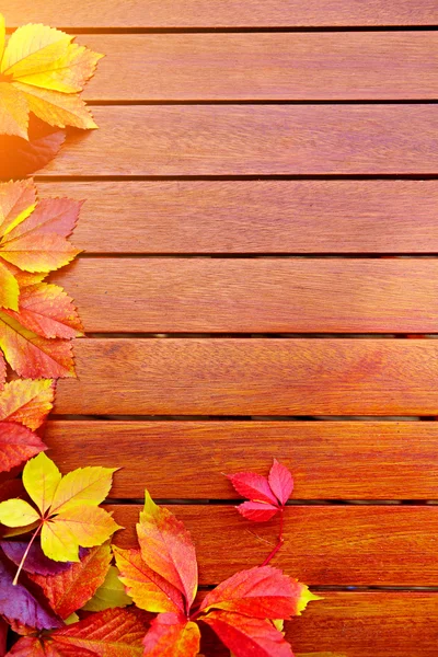 Autumn leaves on wooden background — Stock Photo, Image