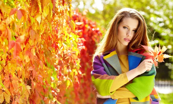 Mulher de outono no fundo de folhas — Fotografia de Stock