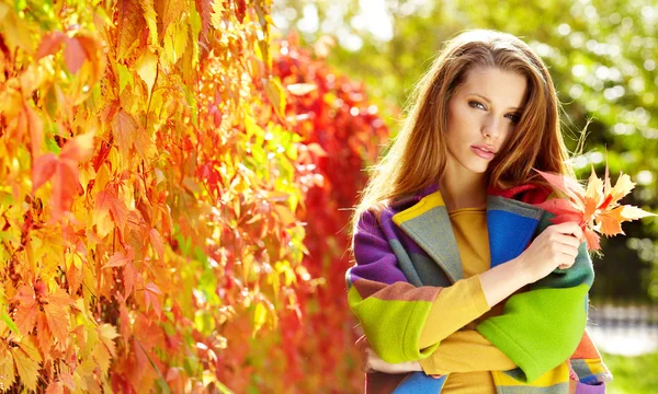 Herfst vrouw op Bladeren achtergrond — Stockfoto