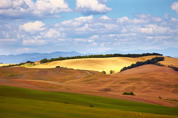 Vista da paisagem típica da Toscana Outono — Fotografia de Stock