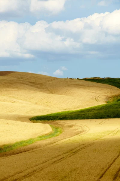 Heuvels van Toscane — Stockfoto