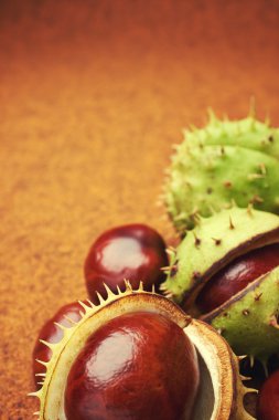 Beyaz kestane fındık grupları kapatın. kahverengi zemin