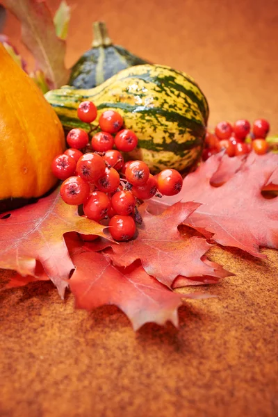 Pumpkins with fall leaves with seasonal background — Stock Photo, Image