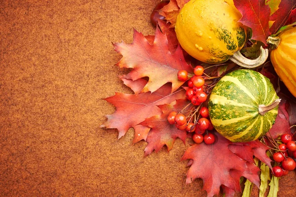 Pumpor med fall blad med säsongsbetonade bakgrund — Stockfoto