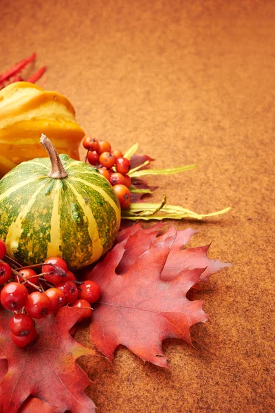Autumn mini pumpkins, berries, chestnuts and dry flowers over or — Stock Photo, Image