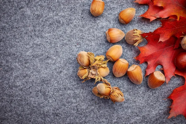 Nuts and berrys autumn background — Stock Photo, Image