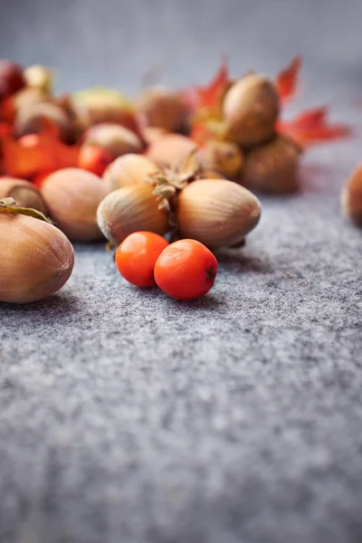 Autumn background — Stock Photo, Image