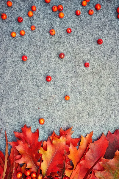 Hintergrund Herbst — Stockfoto