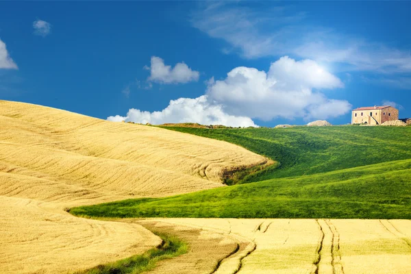 Paesaggio tipico toscano, Italia — Foto Stock