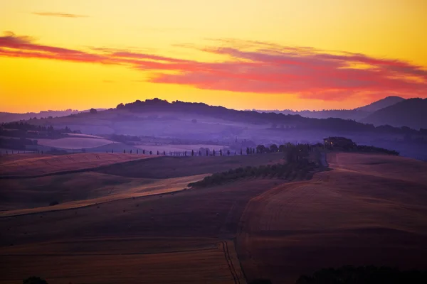 Paisaje en Toscana al atardecer en verano — Foto de Stock