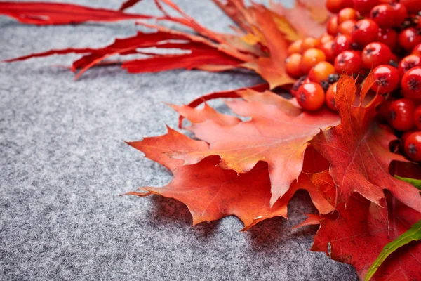 Autumn background — Stock Photo, Image