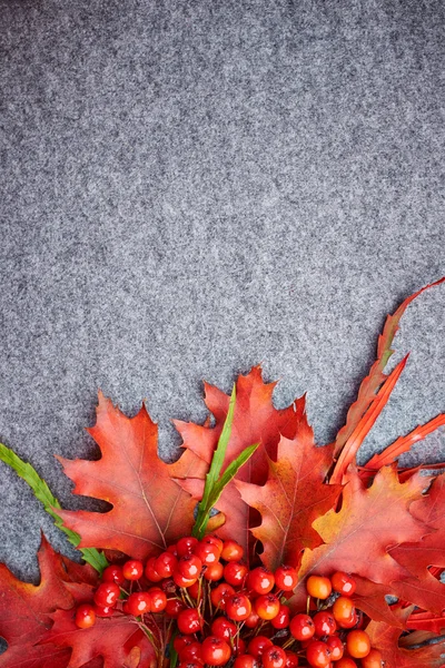 Autumn background — Stock Photo, Image