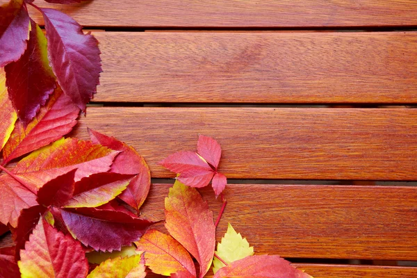 Hojas de otoño sobre fondo de madera — Foto de Stock