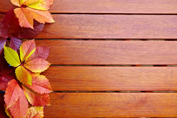 Autumn leaves over wooden background with copy space — Stock Photo, Image