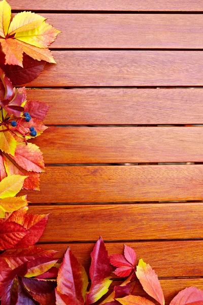 Autumn Leaves over wooden backgound — Stock Photo, Image