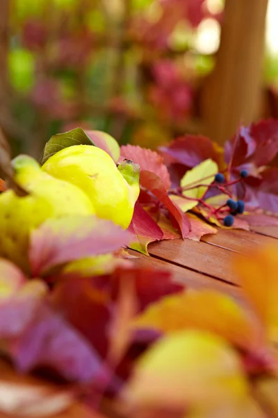 Autumn leaves over wooden background with copy space — Stock Photo, Image