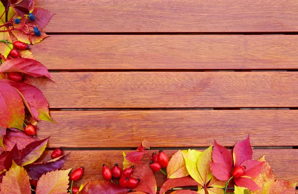 Autumn leaves over wooden background with copy space — Stock Photo, Image