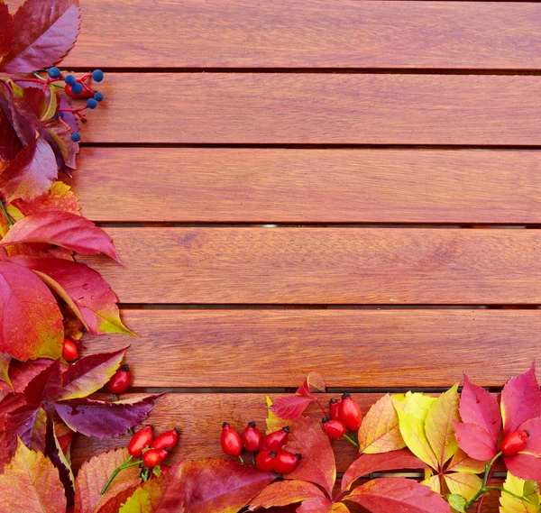 Autumn Leaves over wooden backgound — Stock Photo, Image